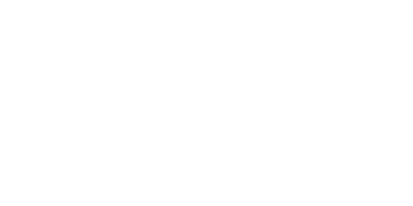 에이스 게이밍 logo